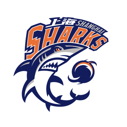 蒙得维的亚流浪者